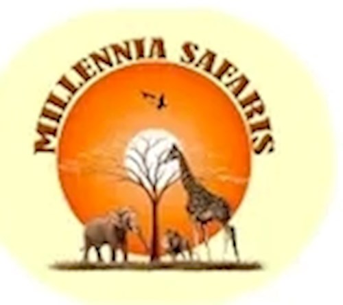 vendor logo